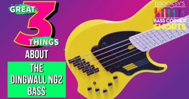 3 Great Things About The Dingwall NG2 Bass #shorts #3greatthings #dingwallbass