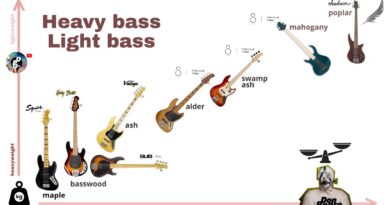 BASS WEIGHT COMPARISON | Tonewoods | From maple, basswood, ash, alder, swamp ash, mahogany to poplar