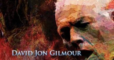 Best of David Gilmour Guitar Solos - Soulful Melodies II