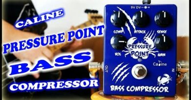 Caline CP-45 “ Pressure Point“ Bass Compressor