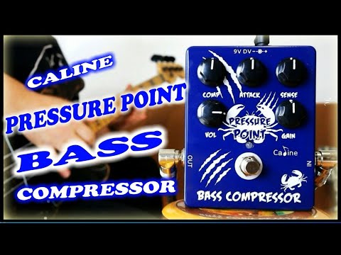 Caline CP-45 “ Pressure Point“ Bass Compressor