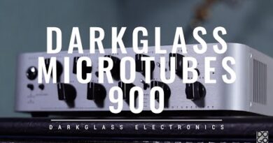 Darkglass Microtubes 900 Bass Amp Review