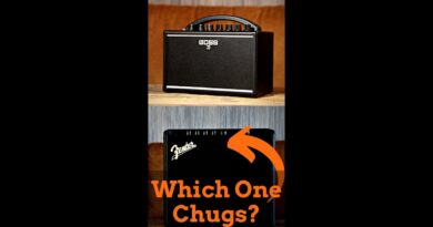 Distortion Test! Cheap Fender VS BOSS Amp