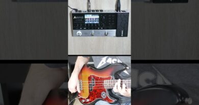 Does the Arena2000 Guitar Multi-Fx Pedal Work on Bass?  Let's Find Out...