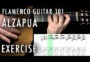 Flamenco Guitar 101 – 31 – Alzapua Exercise