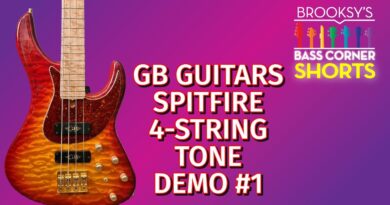 GB Guitars Spitfire 4-String Bass Tone Demo #shorts #gbguitars #gbspitfire