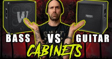 GUITAR and BASS CABINETS explained! What's better when?