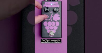 Grape Phaser Bass Phase