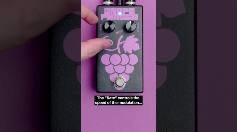 Grape Phaser Bass Phase