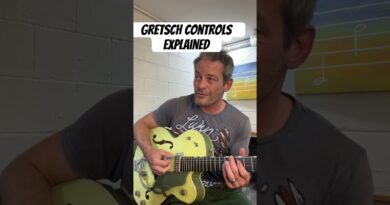 Gretsch controls explained quick style! #guitar #gretsch #rockabilly #blues #lesson #gretschguitar