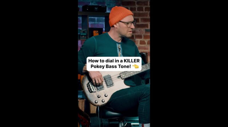 How to dial in a KILLER Pokey Bass Tone! ????????