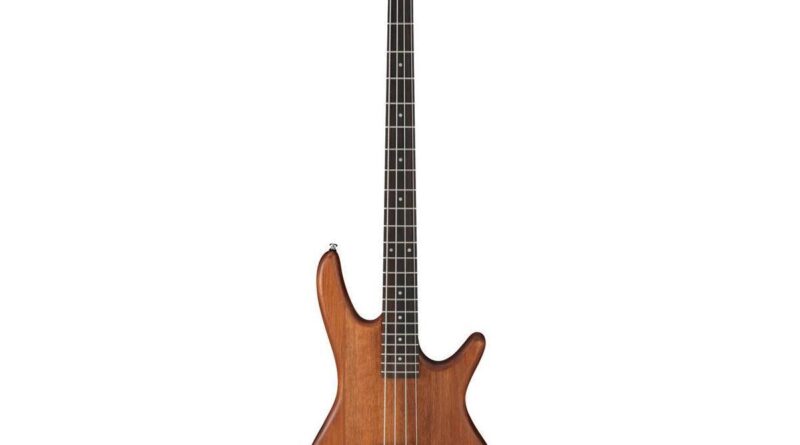 Ibanez Gio SR GSR100EX Electric Bass Guitar, Jatoba Fretboard, Mahogany Oil