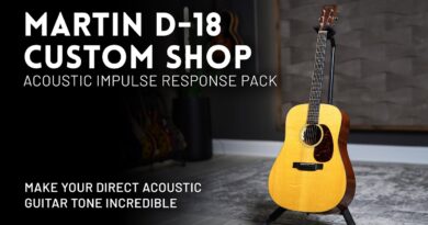 Martin D-18 Custom Shop Acoustic IR Pack Demo // Make your direct acoustic tone incredible