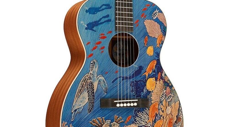 Martin OM Biosphere Acoustic Guitar Ocean