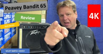 PEAVEY BANDIT 65 Amp Review and Demo~2024~4K