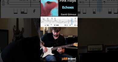 Pink Floyd Echoes David Gilmour Intro Guitar Solo with TAB #meddle #pinkfloyd #shorts