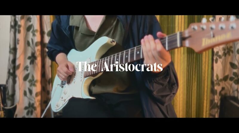 The Aristocrats/Guthrie Govan - Sweaty Knockers / guitar cover / tried my best to play it