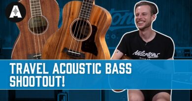 Travel Acoustic Bass Shootout - Campfire Basses?!