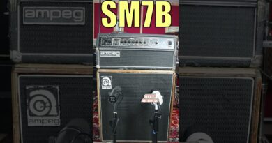 Universal Audio SD-1 vs. Shure SM7B: Bass Amp! #shure #universalaudio