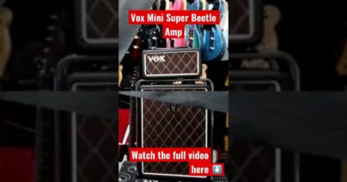 Vox Mini Super Beetle Amp