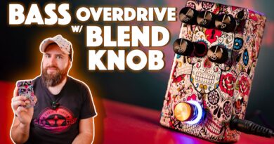 WANT Better BASS Tone? THIS Overdrive Pedal for Bass DELIVERS