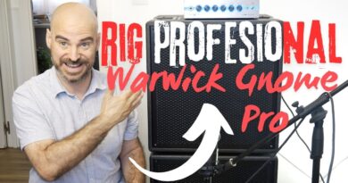 Warwick Gnome iPro 600 + Gnome Pro Cabs: ¡Estos Gnomos han crecido!