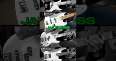 Which Bass is Best?