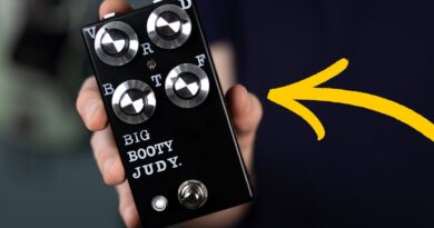 Your New Favorite Bass Distortion Pedal????