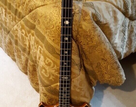 alembic bass guitar 1991