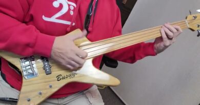 30 Second Fretless Funk Groove   Gregory Bruce Campbell on a BUSUYI BASS