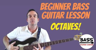 Beginner Bass Guitar Lesson - The Octave and Octave Pattern