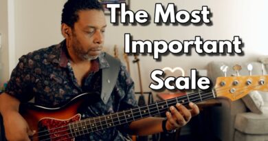 Beginner's lesson 11: The Most Important Scale