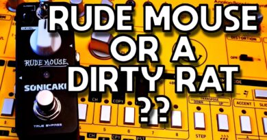 Best Acid Pedal? Sonicake Rude Mouse Distortion Test Review (As good as a RAT?)