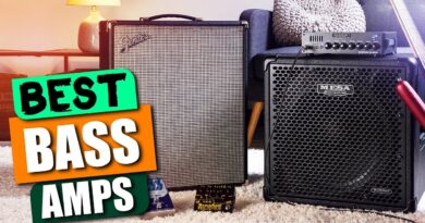 Best Bass Amps: Reviews, Comparisons & Buyer's Guide