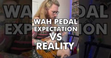 Expectation VS Reality | Wah Pedal |