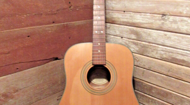 Fender DG-10 LH NAT Acoustic Guitar (LEFT HAND) - PROJECT RESTORATION or PARTS!