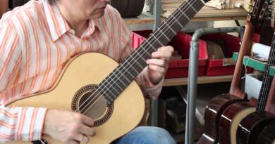 Hofner HM83 classical guitar demo