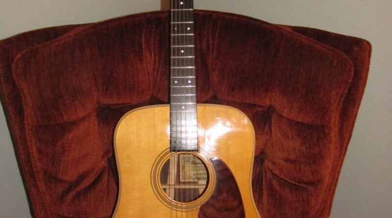 Ibanez Artwood AW100 Acoustic Guitar