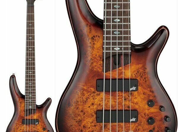 Ibanez Bass Guitar 5-string model Premium SR1605DW-DEL