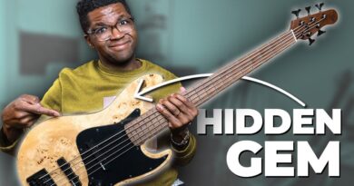 Incredible Basses Under $1000 You Never Heard Of