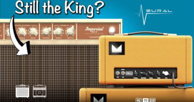 Neural DSP Morgan vs Tone King amp sim shootout