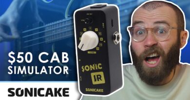 Pocket Size Bass Cab | Sonicake Sonic IR ON BASS [Review/Demo]