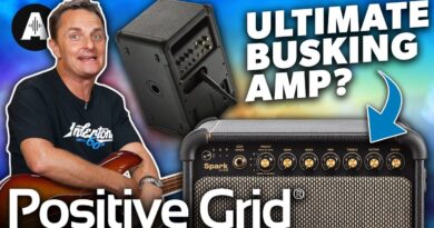 Positive Grid Spark Live - The Perfect Busking Amp?