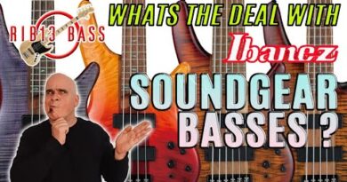 Rib13 Bass - Whats The Deal With Ibanez SOUNDGEAR Basses? #bass #guitar #ibanez #soundgear #viral