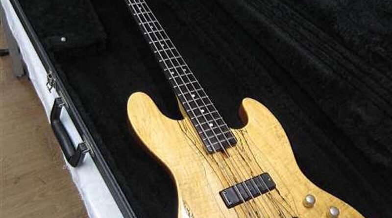 SCHECTER PW-EX-B-SP Electric Bass Guitar