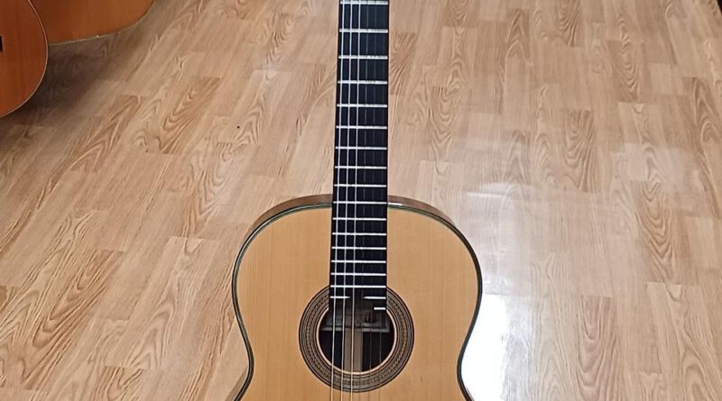 SHUNPEI NISHINO TYPE30 松 Acoustic Guitar