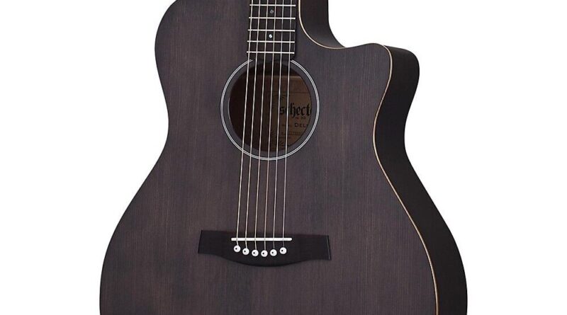 Schecter Guitar Research Deluxe Acoustic Guitar See-Thru Black