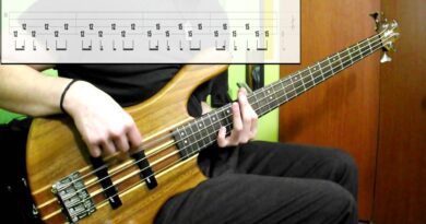 System Of A Down - Toxicity (Bass Cover) (Play Along Tabs In Video)