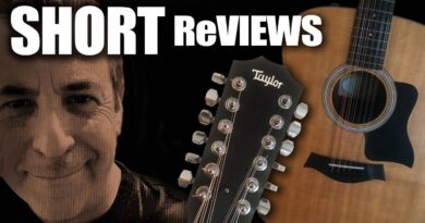 Taylor 150e 12 string acoustic guitar SHORT ReVIEW!