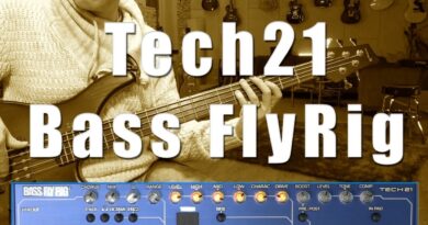 Tech21 Bass FlyRig - Review